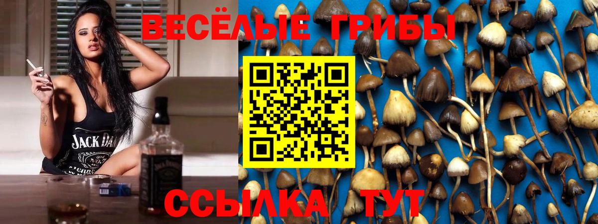 Галлюциногенные грибы Psilocybine cubensis  Галлюциногенные грибы MAGIC MUSHROOMS  Ульяновск  Вход с VPN 
